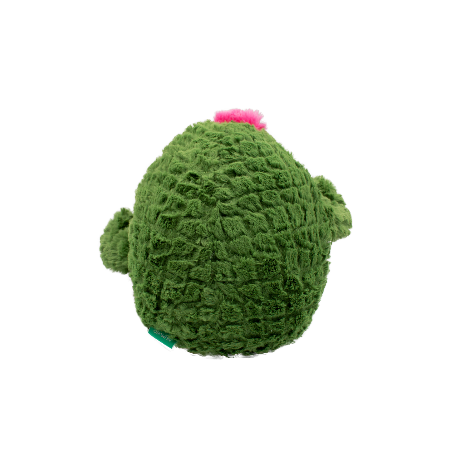 Plush Toys Catcus
