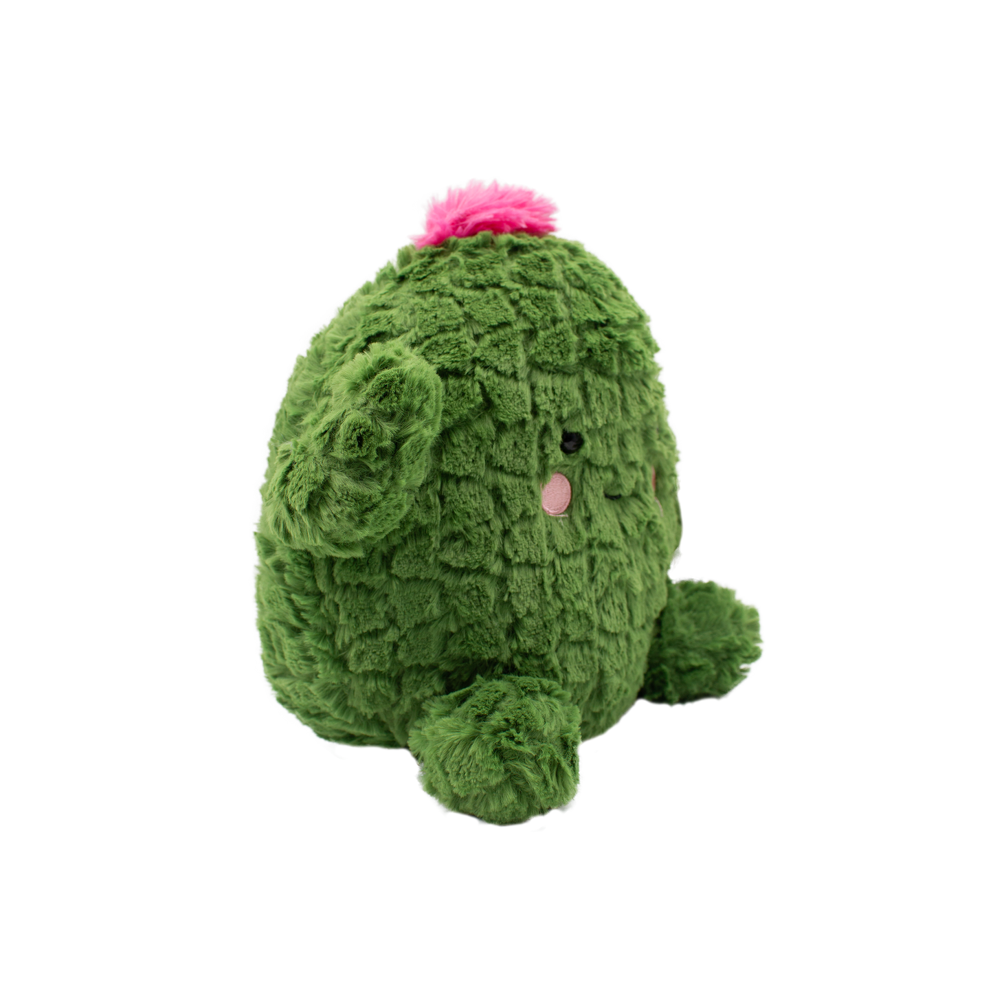 Plush Toys Catcus