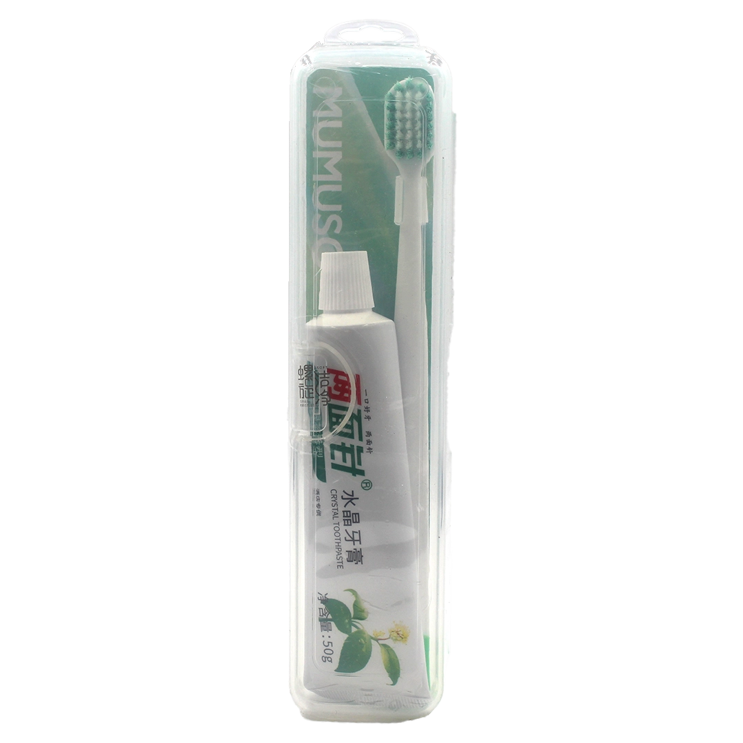 Travel Toothbrush And Toothpaste Set